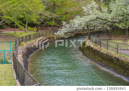 Lake Biwa Canal in Spring, Kyoto City Lake Biwa Canal in Spring, Kyoto City 138893841