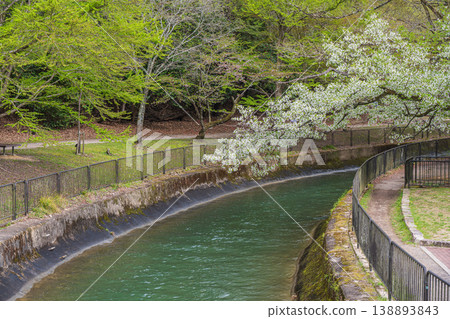 Lake Biwa Canal in Spring, Kyoto City Lake Biwa Canal in Spring, Kyoto City 138893843