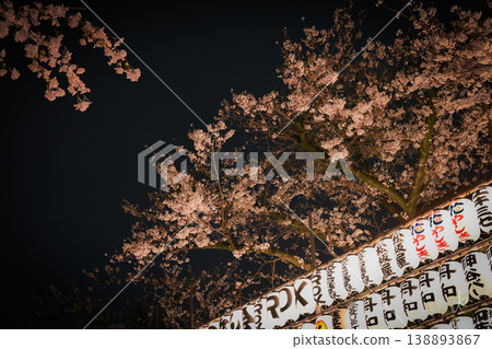 Cherry trees at full bloom Cherry trees at full bloom 138893867