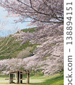 香川縣萬濃町琴波心跳公園櫻花21 2026 138894151