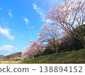 香川縣萬能町 Kotonami Dokidoki Park 櫻花 2026 138894152