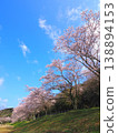 香川縣萬能町 Kotonami Dokidoki Park 櫻花 2026 138894153