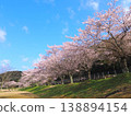 香川縣萬能町 Kotonami Dokidoki Park 櫻花 2026 138894154
