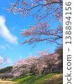 香川縣萬濃町琴波心跳公園櫻花26 26 138894156