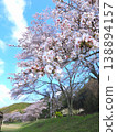 香川縣萬能町 Kotonami Dokidoki Park 櫻花 2026 138894157