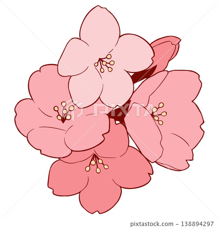 Cherry Blossom Cherry Blossom 138894297