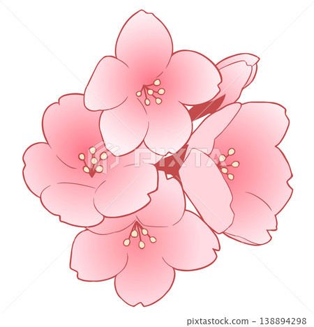 櫻花 櫻花 138894298