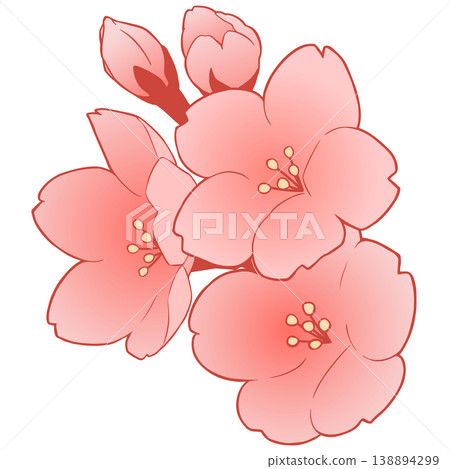 櫻花 138894299