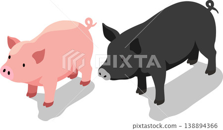 Isometric farm pig livestock illustration Isometric farm pig livestock illustration 138894366