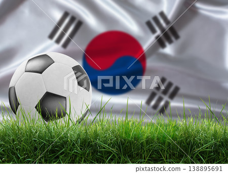 Soccer ball on pitch against South Korean flag background. Soccer ball on the grass with South Korea flag in the background Soccer ball on pitch against South Korean flag background. Soccer ball on the grass with South Korea flag in the background 138895691