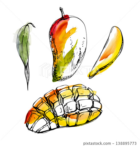 Juicy full, sliced and diced mango pieces, golden tropical flesh. Isolated illustration hand drawn in watercolor and ink. Smoothie branding, drink menus, summer advertising, exotic fruit packaging Juicy full, sliced and diced mango pieces, golden tropical flesh. Isolated illustration hand drawn in watercolor and ink. Smoothie branding, drink menus, summer advertising, exotic fruit packaging 138895773