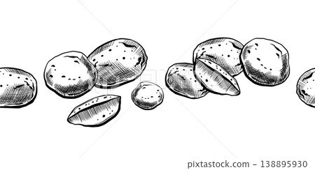 Potato seamless border in minimalist vector line art. Horizontal repeating potato tubers and wedges for organic food packaging, rustic farm market menu design and grocery retail branding graphics 138895930