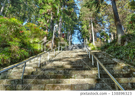 山梨縣身延町身延山久遠寺菩提階：287級石階及一排雪松樹。 138896323