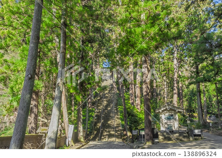 山梨縣身延町身延山久遠寺菩提階與杉樹步道：287級石階 138896324