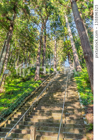 山梨縣身延町身延山久遠寺的菩提階梯和杉樹林：通往覺悟的階梯 138896325
