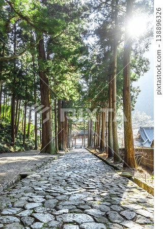 在冬日的陽光下，通往山梨縣身延町身延山久遠寺的石板路和雪松林蔭小徑。 138896326