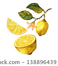 Half a lemon and a branch with fruit, flower and leaf. Set of watercolor illustration elements isolated on white background 138896439