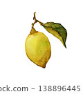 Lemon on a branch with leaf. Hand draw watercolor element isolated on white background. 138896445