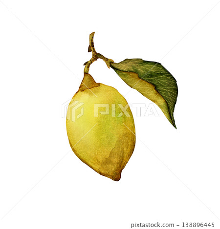 Lemon on a branch with leaf. Hand draw watercolor element isolated on white background. Lemon on a branch with leaf. Hand draw watercolor element isolated on white background. 138896445