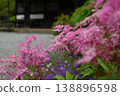 粉紅色的繡線菊裝飾著永勝寺。 138896598