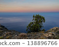 A peaceful coastal landscape with a lone tree overlooking the calm sea under a soft gradient sunset sky. 138896766