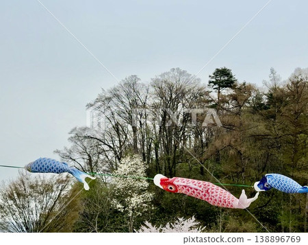 鯉魚流在天空中跳舞 138896769