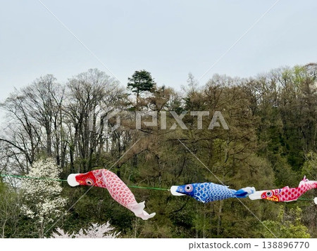 鯉魚幡在天上游 鯉魚幡在天上游 138896770