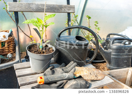 Garden tools and a seedling in a pot standing on a wooden chair.  138896826