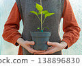 Sprout in woman hands in a greenhouse.  138896830