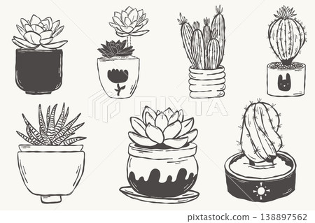 Succulent and cactus plants set in pots hand drawn botanical collection line style 138897562