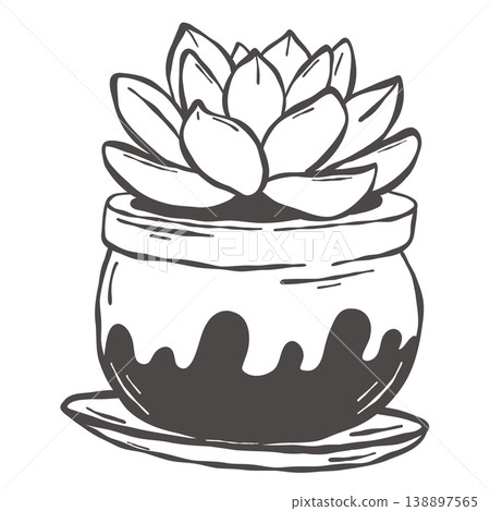 Succulent plant in decorative dripping pot hand drawn botanical line style Succulent plant in decorative dripping pot hand drawn botanical line style 138897565
