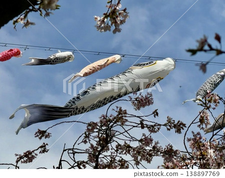 鯉魚stream在藍藍的天空中游泳 鯉魚stream在藍藍的天空中游泳 138897769