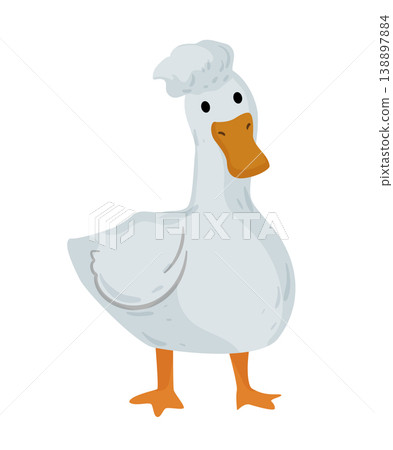 Cartoon vector illustration of a white duck standing. Flat style farm bird isolated on white background for agriculture and children design. Cartoon vector illustration of a white duck standing. Flat style farm bird isolated on white background for agriculture and children design. 138897884