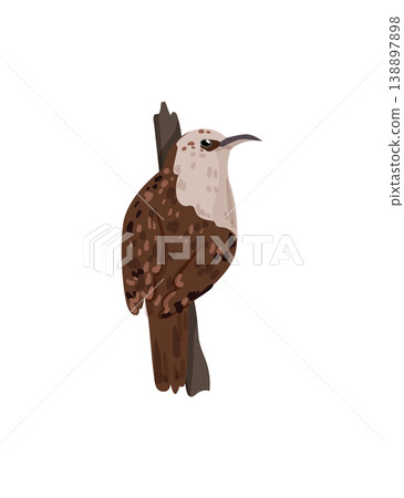 Brown Bird on Branch Brown Bird on Branch 138897898