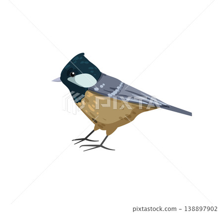 Gray and Yellow Tit Gray and Yellow Tit 138897902