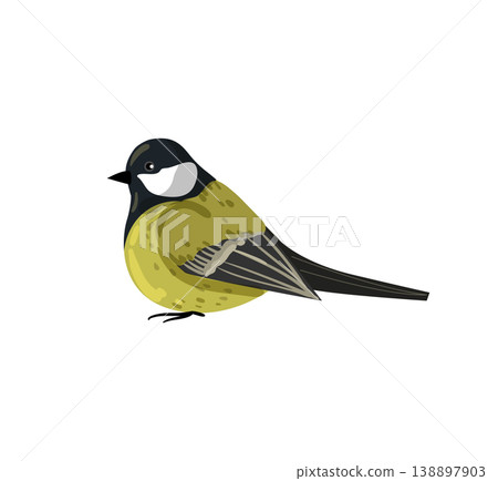 Black and Yellow Great Tit Black and Yellow Great Tit 138897903