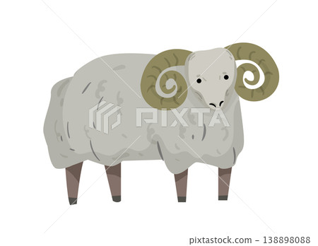 Cartoon vector illustration of a ram with big horns. Flat style farm animal isolated on white background for agriculture design. Cartoon vector illustration of a ram with big horns. Flat style farm animal isolated on white background for agriculture design. 138898088
