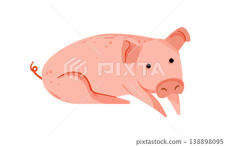 Cartoon vector illustration of a pig lying down. Flat style farm animal isolated on white background for agriculture and children design. 138898095