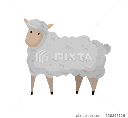 Cartoon vector illustration of a sheep standing. Flat style farm animal isolated on white background for agriculture and livestock design. 138898126