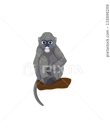 Gray Monkey Sitting on Branch Gray Monkey Sitting on Branch 138898209