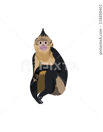 Colorful Monkey Sitting 138898401