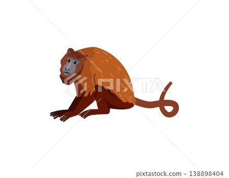 Orange Monkey Standing Orange Monkey Standing 138898404