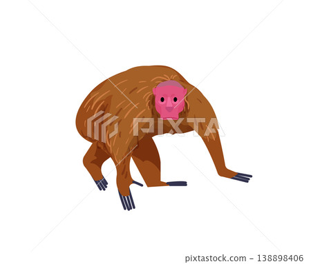 Brown Monkey Walking 138898406