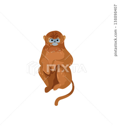 Orange Monkey Sitting 138898407