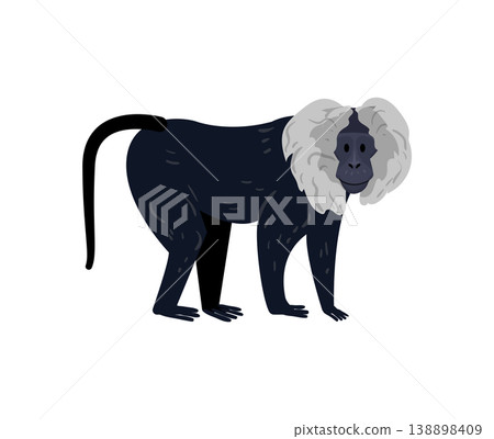 Black and White Monkey Standing Black and White Monkey Standing 138898409