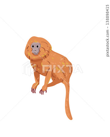 Orange Monkey Standing Orange Monkey Standing 138898415