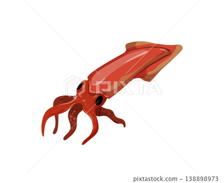 Squid Squid 138898973