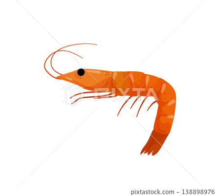 Cooked Shrimp 138898976