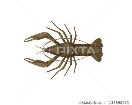 Lobster Lobster 138898985