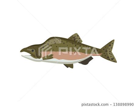 River Fish 138898990